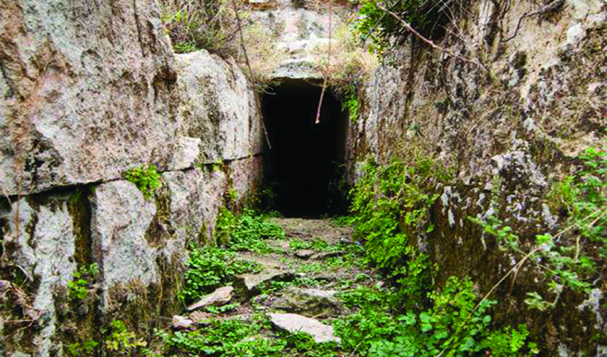 19 mnimeia manteia